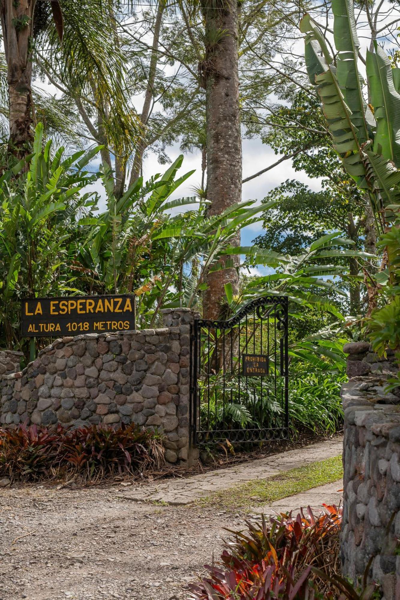Aquiares Coffee Farm Casa Hacienda La Esperanza Turrialba Exterior foto