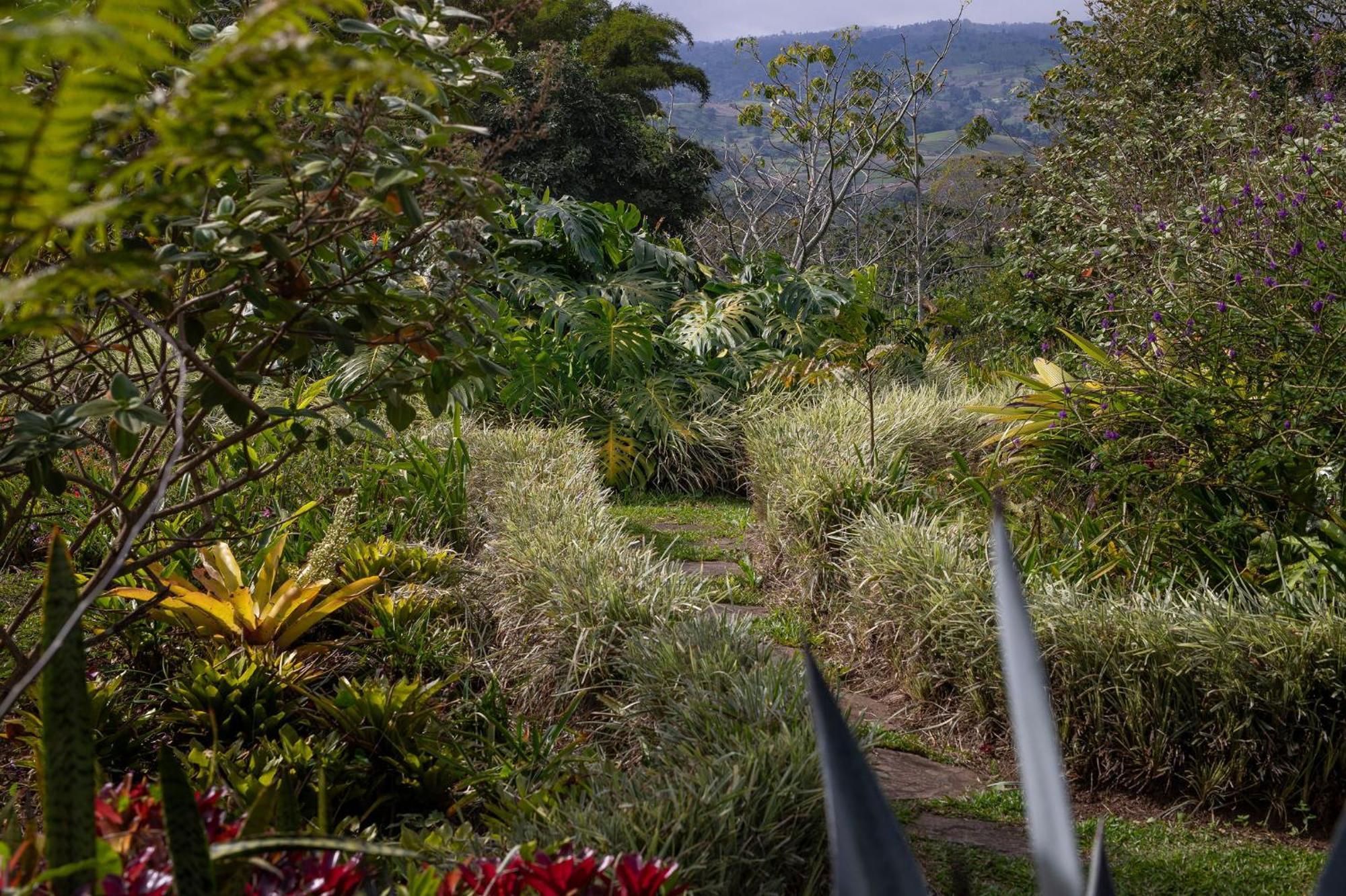 Aquiares Coffee Farm Casa Hacienda La Esperanza Turrialba Exterior foto