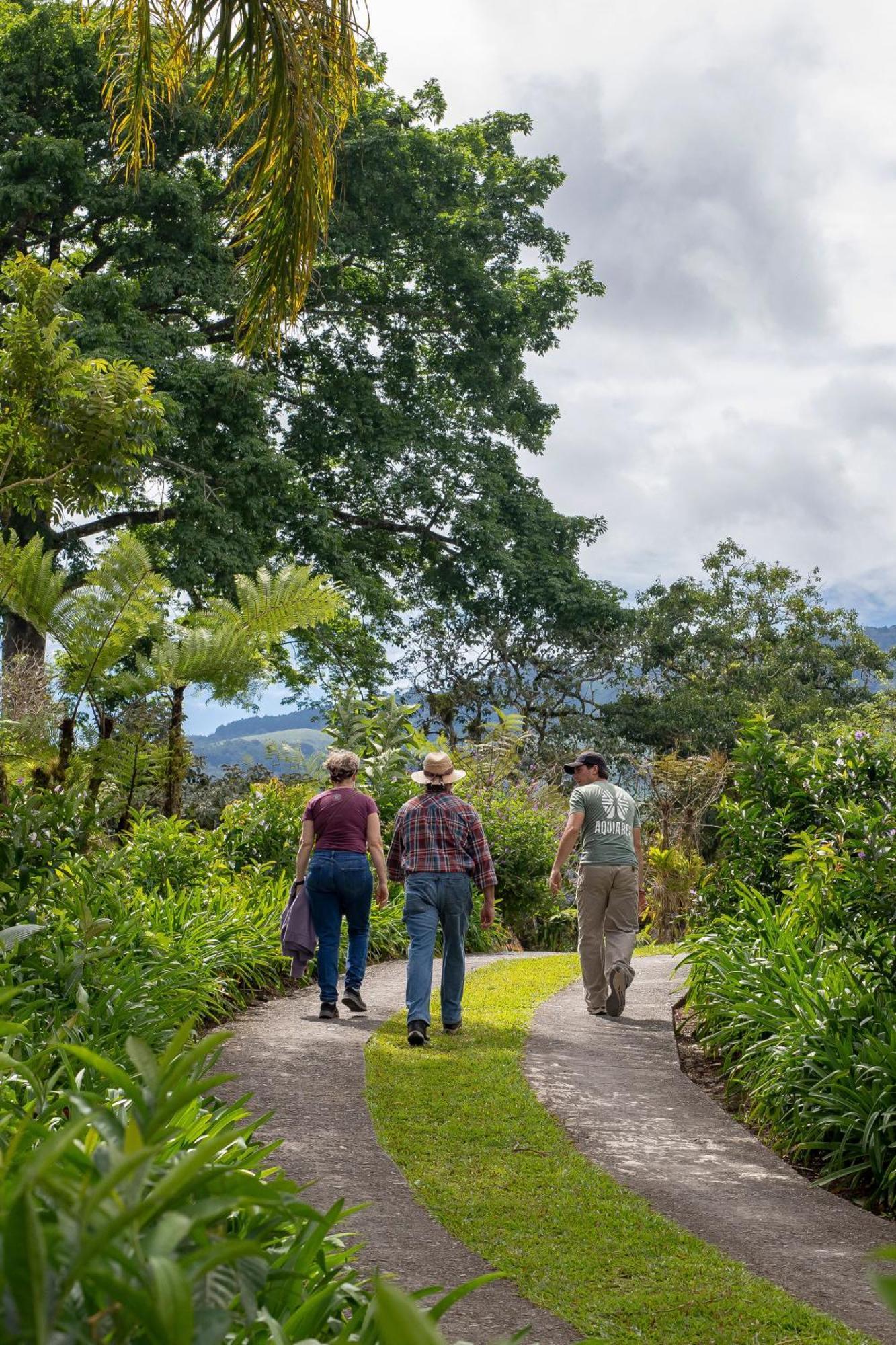 Aquiares Coffee Farm Casa Hacienda La Esperanza Turrialba Exterior foto