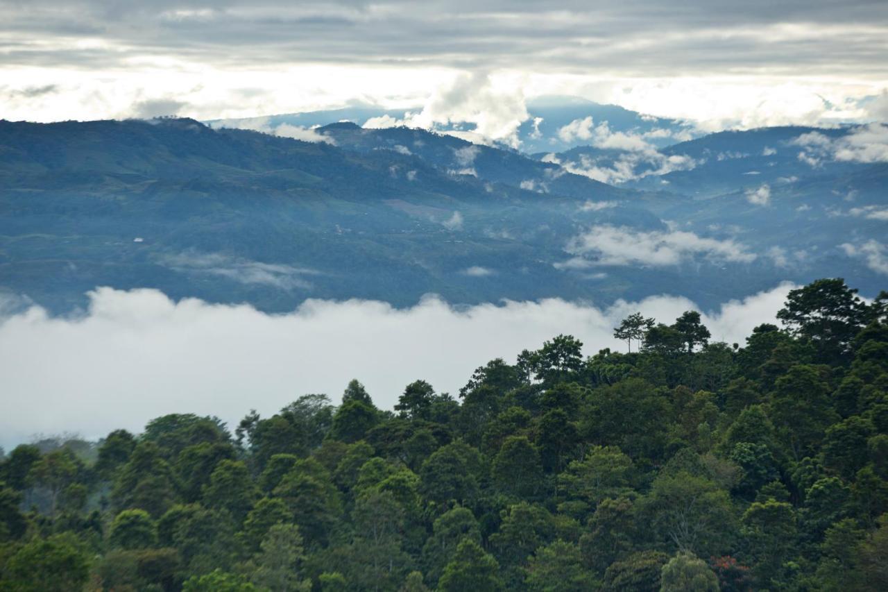 Aquiares Coffee Farm Casa Hacienda La Esperanza Turrialba Exterior foto